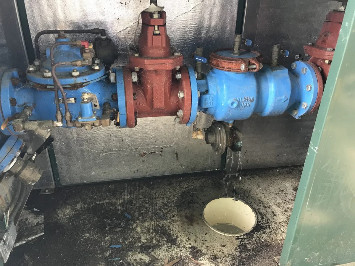 Commercial backflow assembly