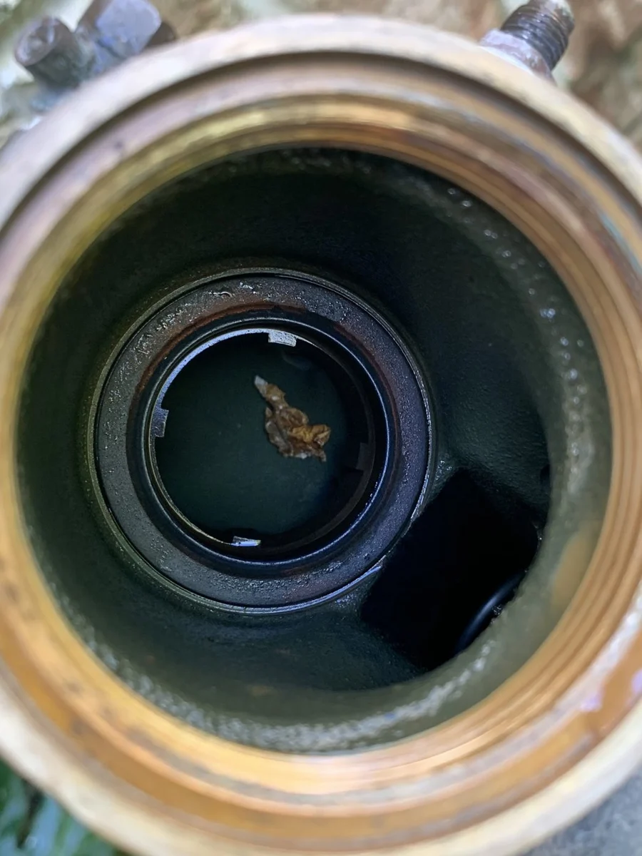 Inside a backflow assembly